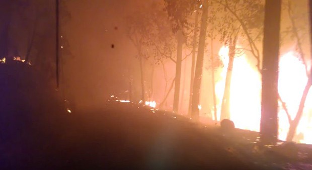 Morador registra o inferno que tomou conta da Califórnia (Foto: Reprodução)
