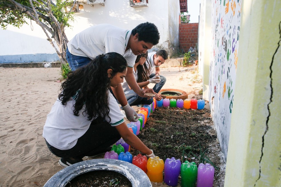 Projeto retém água no solo e colabora com a fertilização em ambientes secos — Foto: Kid Junior/SVM
