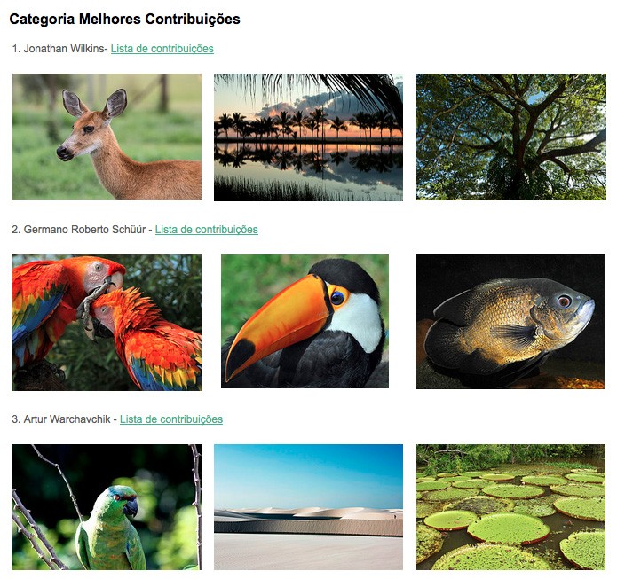 Wiki Loves Earth Brasil 2015: vencedores da categoria Melhores Contribuições (Foto: Reprodu