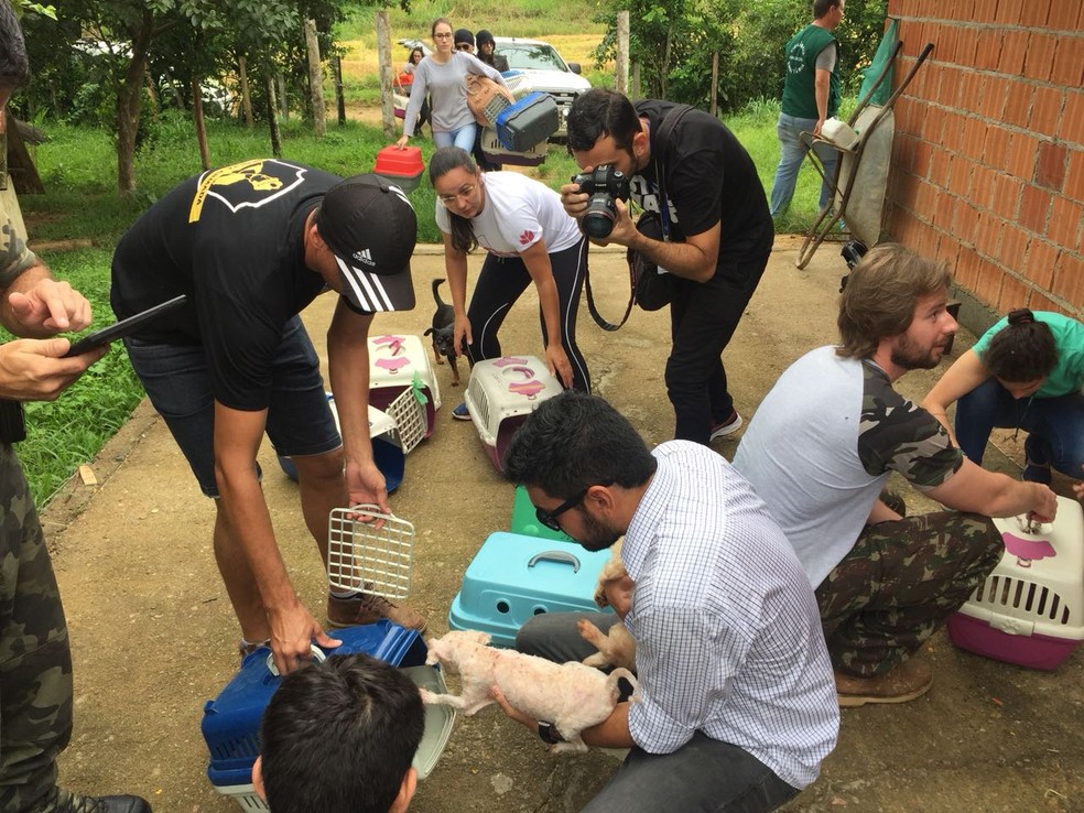 Resgate de cães de canil em Jaraguá do Sul (Foto: Marco Antonio Mendes/NSC TV)