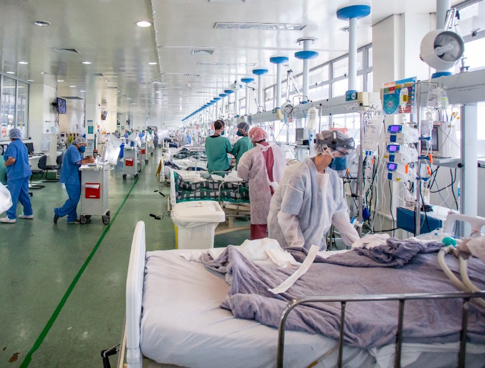 — Foto: Veridiana Brandão Gregório Pires