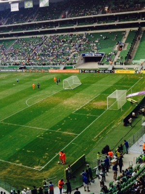 Gramado Arena Palmeiras (Foto: Fabrício Crepaldi)