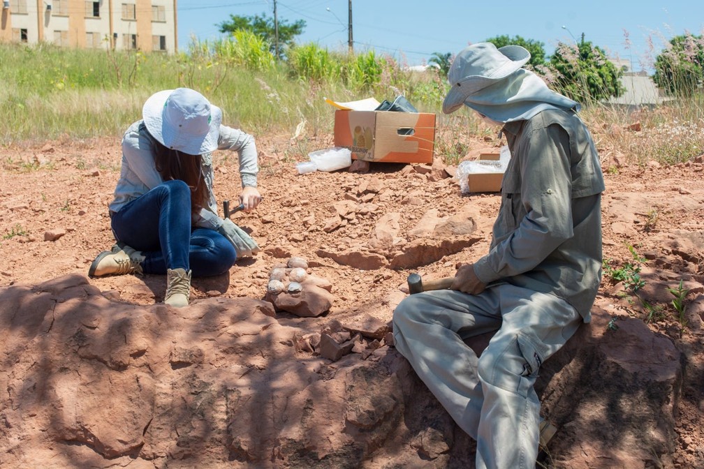 Willian Nava lidera escavações no sítio paleontológico de Presidente Prudente — Foto: Stephanie Fonseca/g1