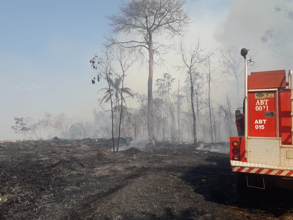Cerca de 10 bombeiros foram chamados para controlar o incêndio em Espigão — Foto: Secretaria Municipal de Meio Ambiente/Divulgação