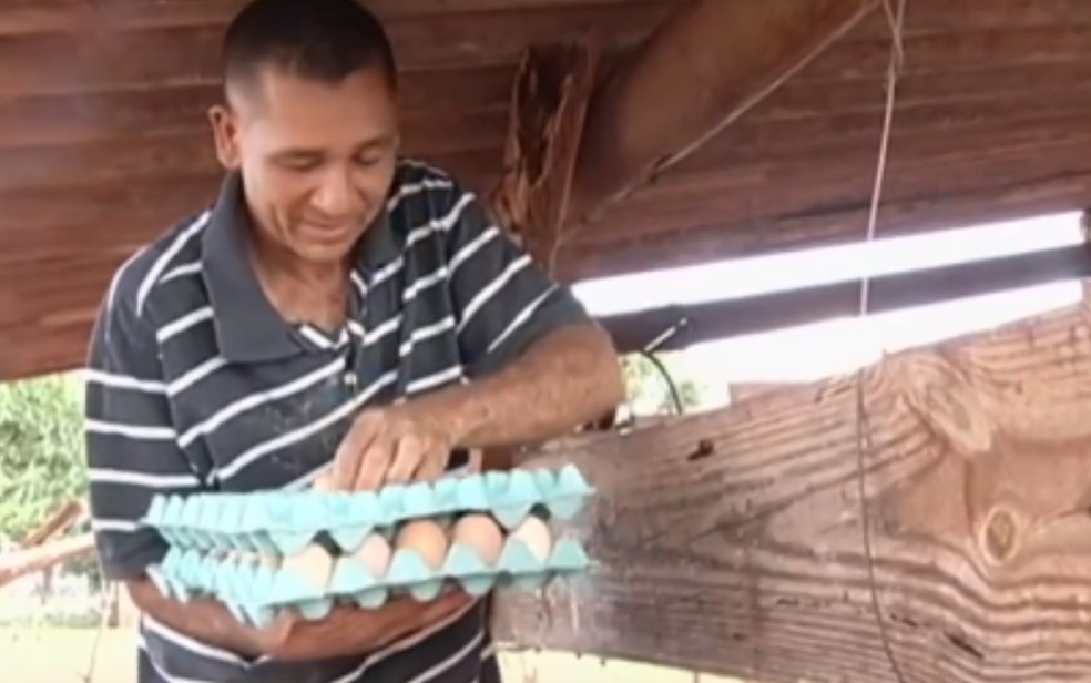 Criador trabalha vendendo ovos que recolhe no galinheiro — Foto: Reprodução/TV Anhanguera