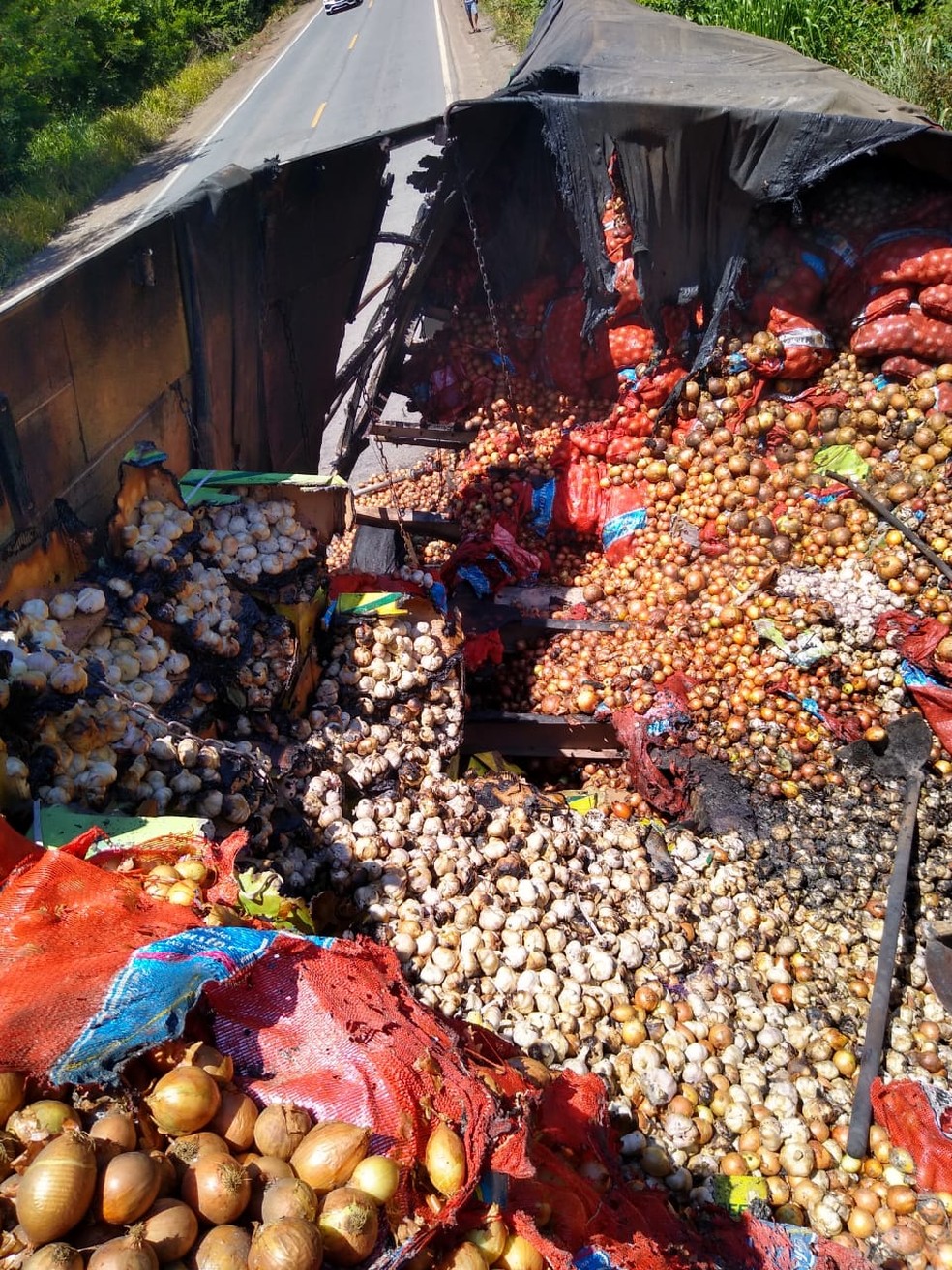 Caminhão estava carregado com sacos de cebola e alho — Foto: Bombeiros/Divulgação