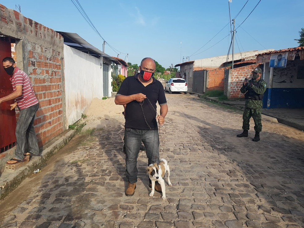 Cachorro foi regatado pela Delegacia de Proteção ao Meio Ambiente (DPMA) em Teresina — Foto: Divulgação/PC-PI