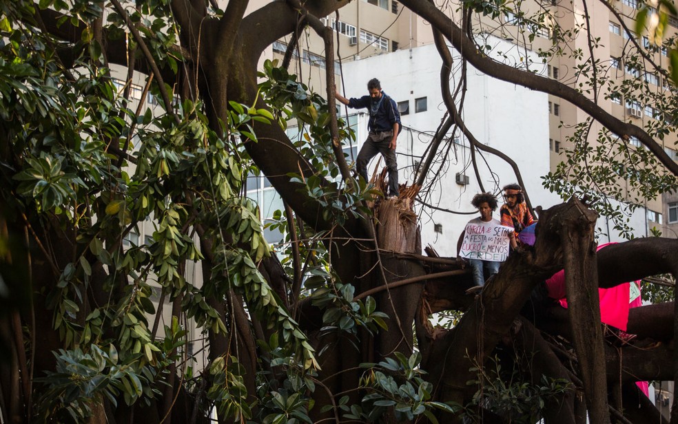Sobre uma árvore, ativistas protestam contra a reintegração de posse do Parque Augusta, na Rua Augusta, Centro de São Paulo (Foto: Victor Moriyama/G1)
