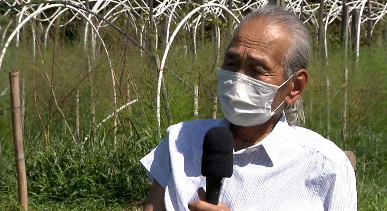 Aos 83 anos, produtor nascido no Japão aposta em turismo rural no Paraná