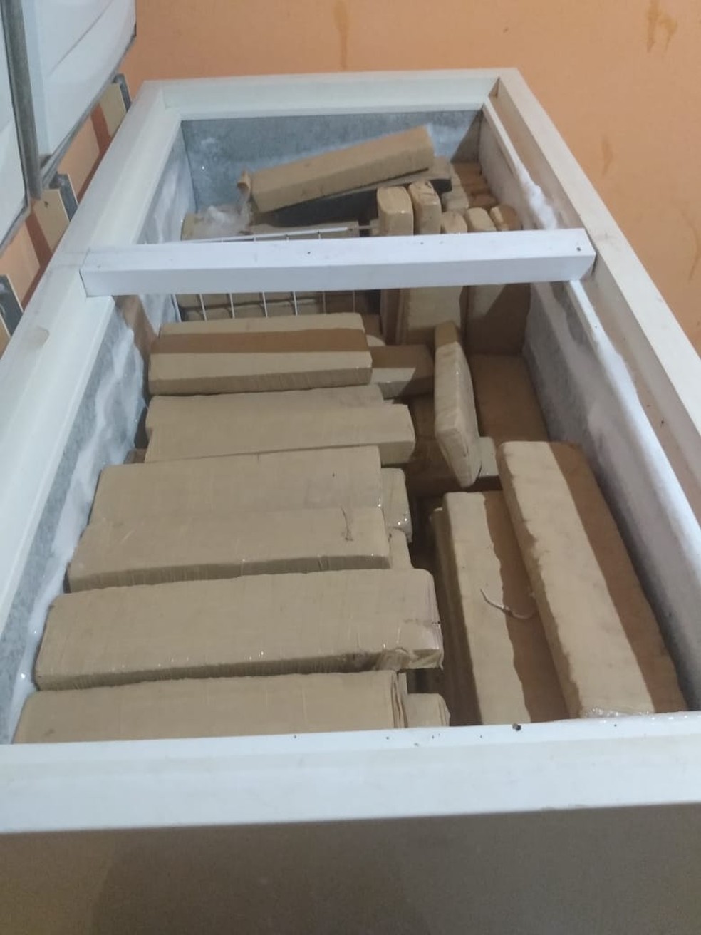 Droga foi encontrada em freezer, dentro de casa na Zona Sul de Porto Velho — Foto: Divulgação/PM