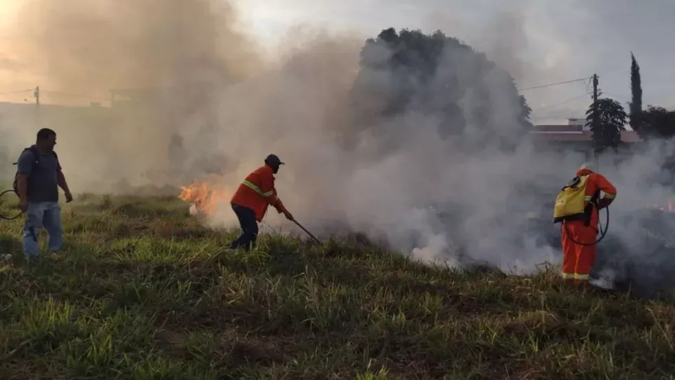 Incêndio em área de vegetação do sudoeste da Bahia  — Foto: Divulgação/PMVC