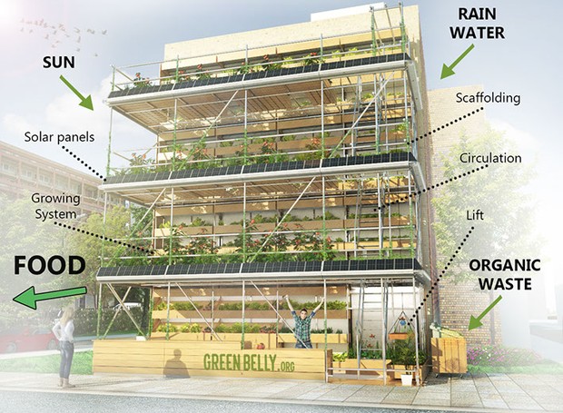 GreenBelly horta vertical (Foto: Reprodução)