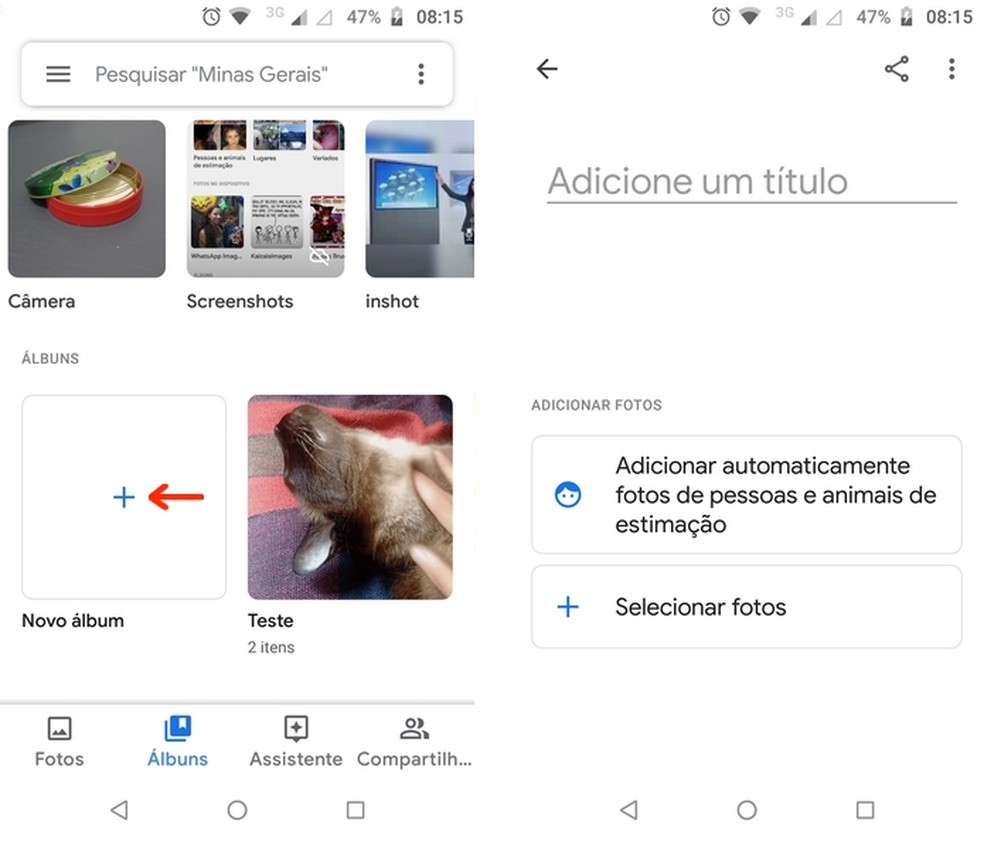 Como organizar fotos no Google Fotos: o app permite criar álbuns de fotos e vídeos — Foto: Reprodução/Raquel Freire