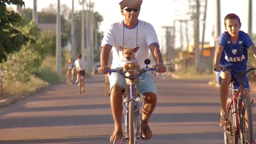 Pepeu faz sucesso ao andar de bicicleta com o dono pela cidade  Foto: TVCA/ Reproduo