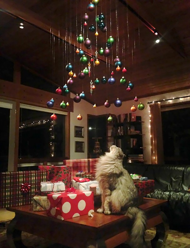 10 deias geniais para proteger sua árvore de natal dos cachorros e gatos (Foto: Reprodução) 10 deias geniais para proteger sua árvore de natal dos cachorros e gatos (Foto: Reprodução)