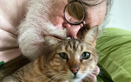 Aos 76, Zé de Abreu adota primeiro gatinho: "Paixão define"