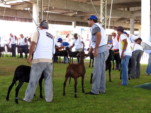 32ª edição da Feira Internacional da Agropecuária (Fenagro) acontece no Parque de Exposições de Salvador — Foto: Divulgação