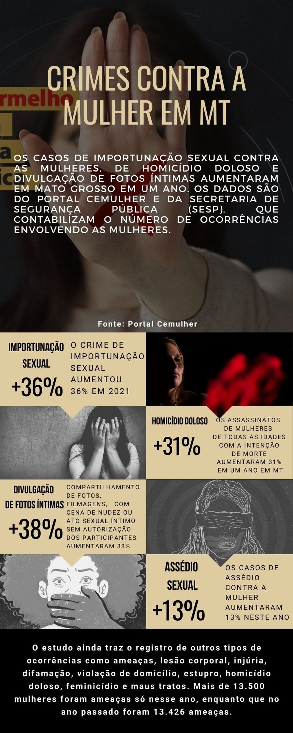 Crimes contra a mulher em Mato Grosso  Foto: Infogrfico/G1 MT