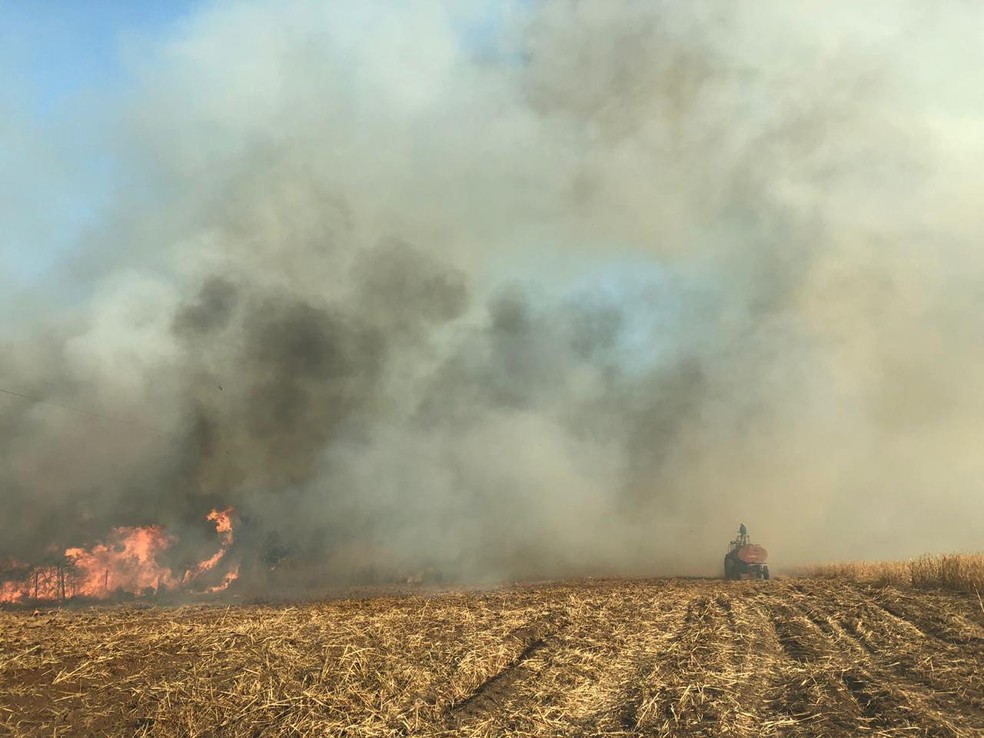 Fogo atinge propriedade rural de RondonÃ³polis â Foto: Indianara Campos/ TVCA