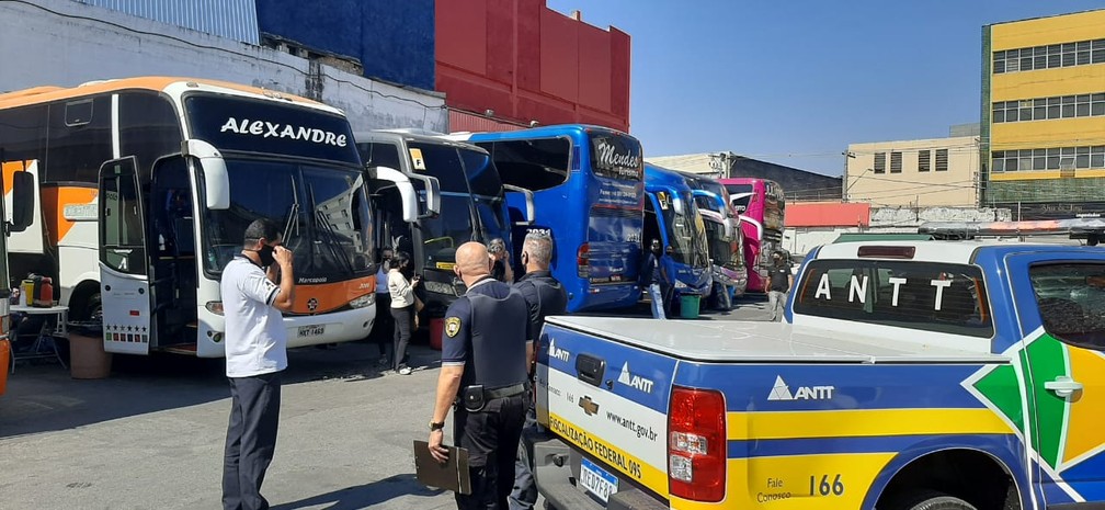 Operação da ANTT apreende cinco ônibus de transporte clandestino de  passageiros na região do Brás, Centro de São Paulo | São Paulo | G1