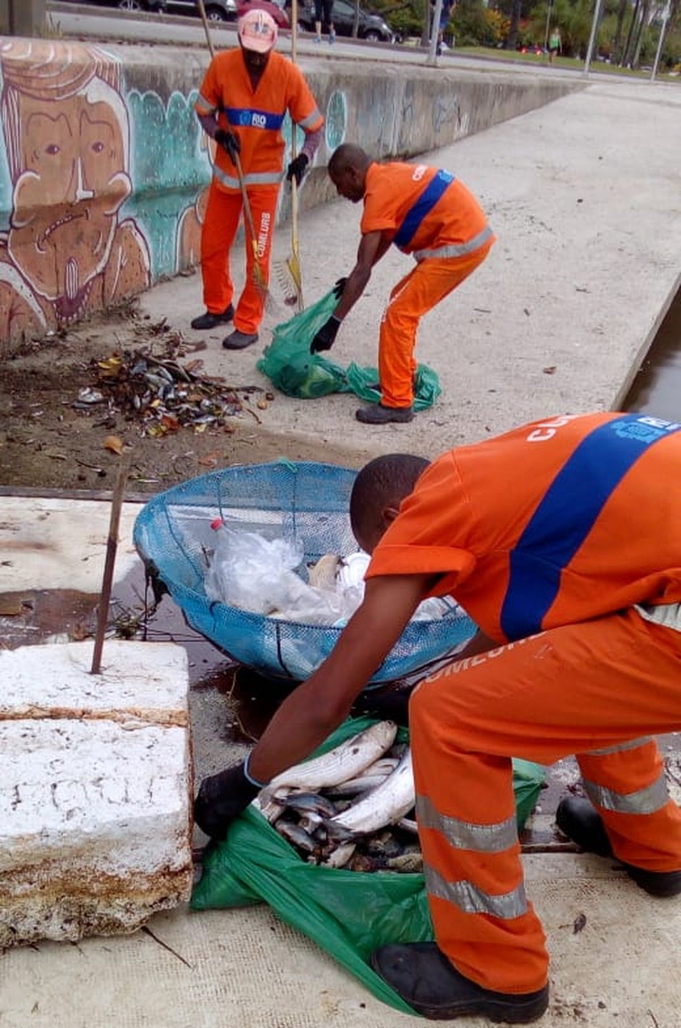 Peixes mortos sÃ£o recolhidos da Lagoa, na Zona Sul do Rio. â Foto: DivulgaÃ§Ã£o/Comlurb