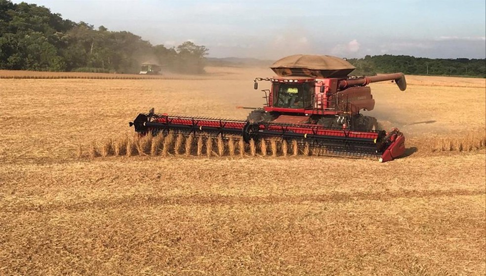 Rabobank projects a record-breaking production of soy in Brazil of 149 million tonnes in 2022/23 — Foto: Divulgação
