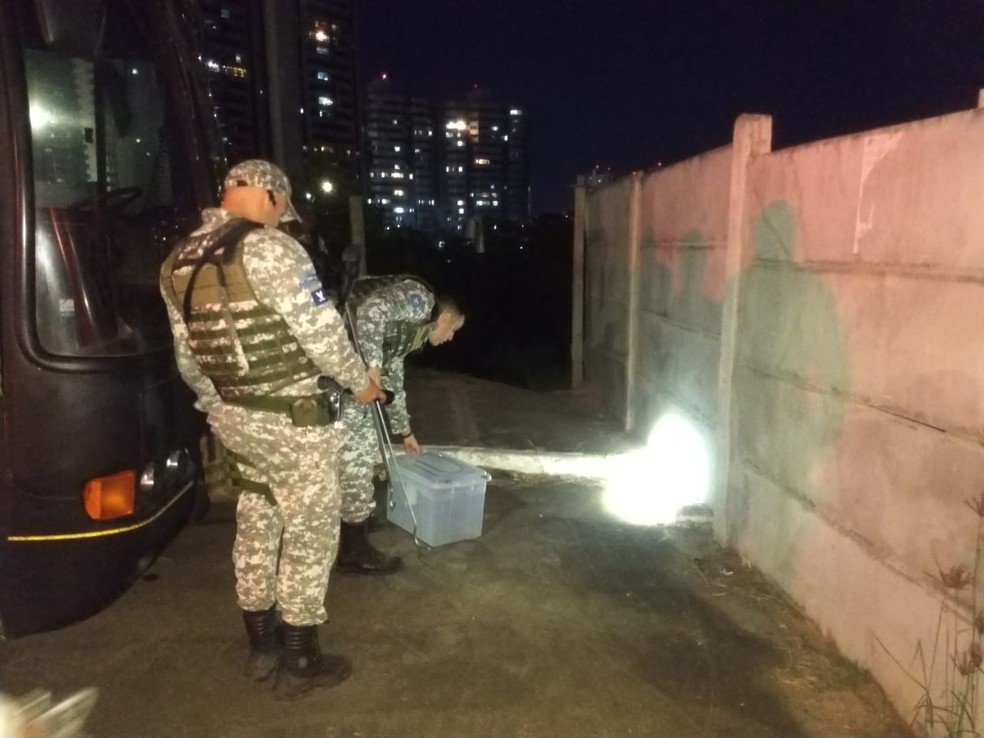 Agentes da guarda na última quarta (15), em Patamares, fazendo o resgate de outra cobra — Foto: Divulgação/GCM