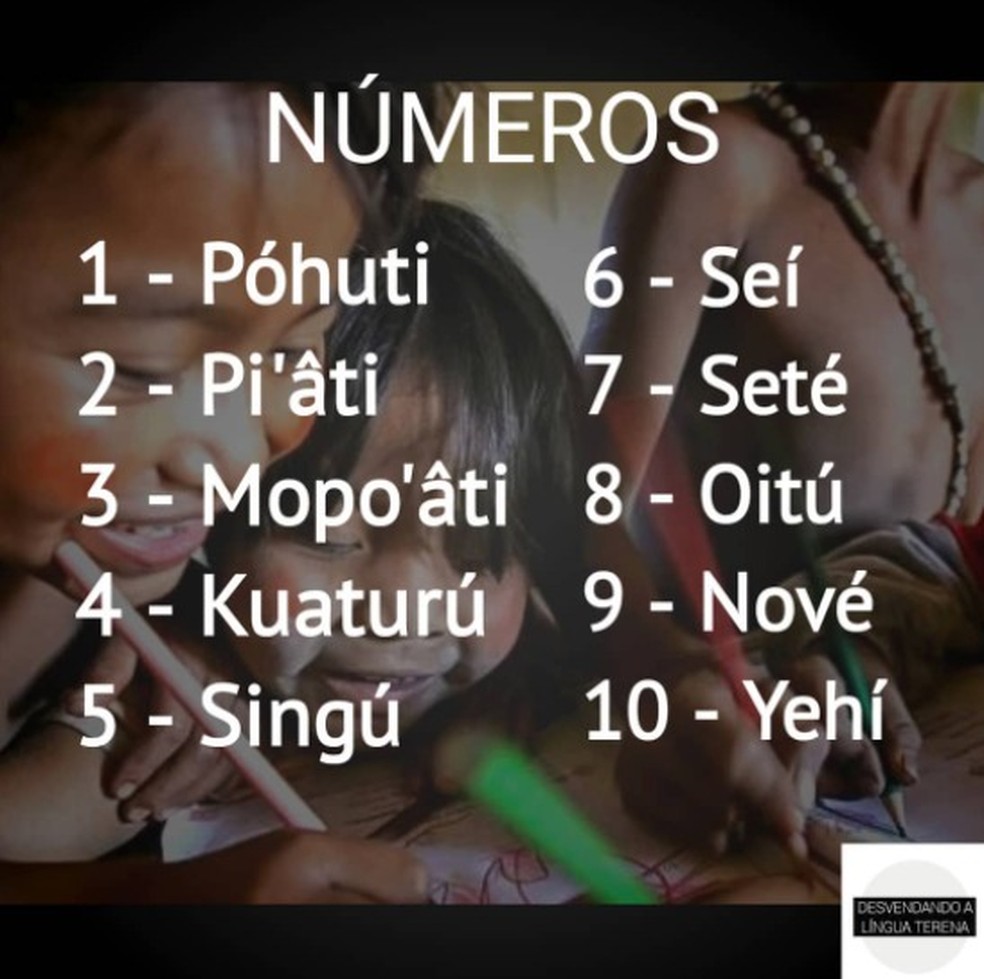 Números de 1 a 10 na língua indígena terena. — Foto: Reprodução/RedesSociais