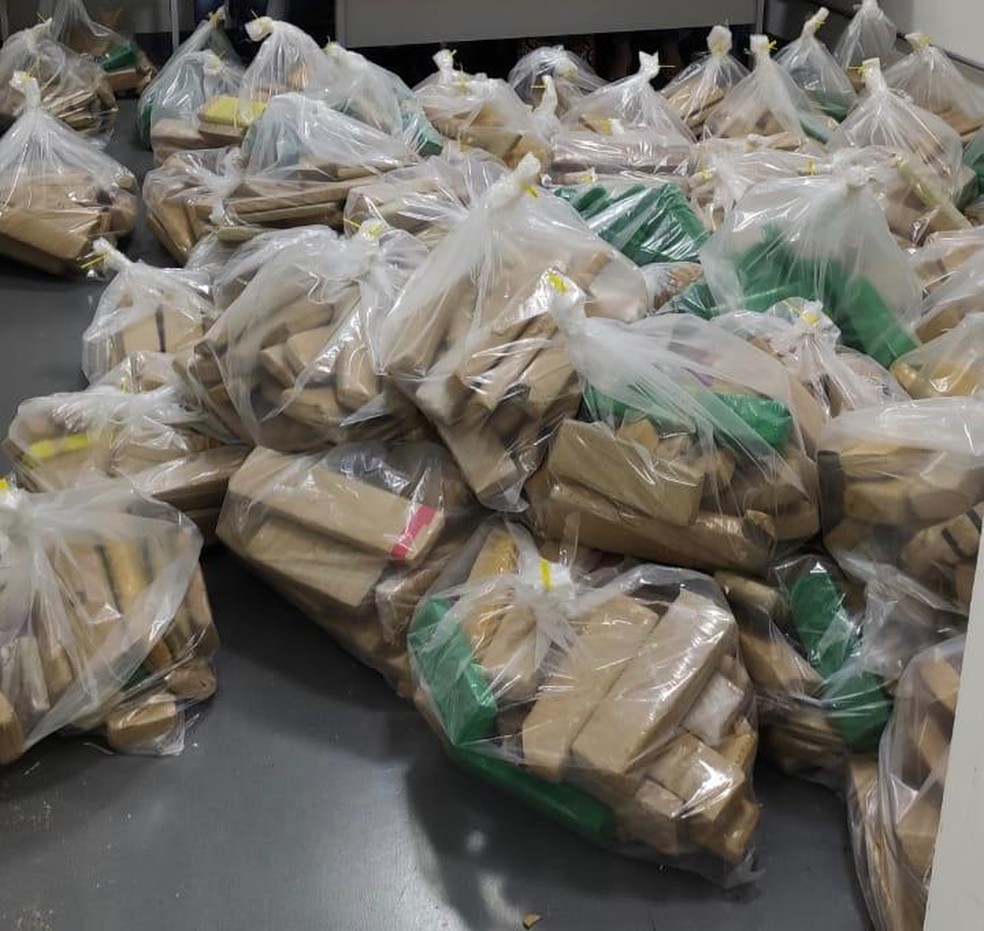 Tijolos de maconha apreendidos em Cerquilho pesavam mais de uma tonelada — Foto: Reprodução/TV TEM