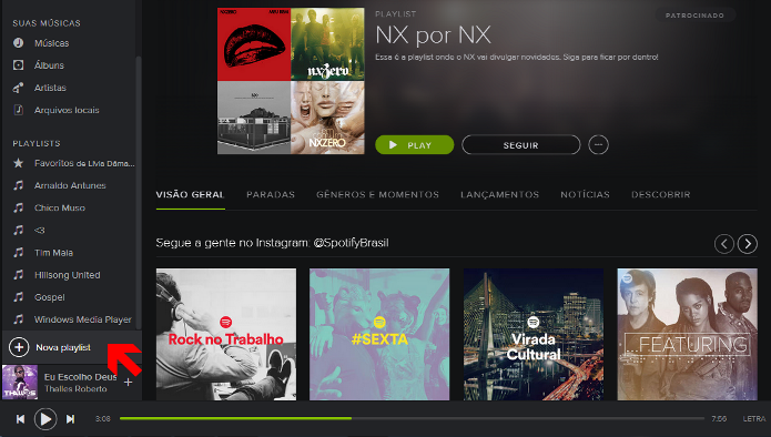 Criando nova playlist (Foto: Reprodu??o/L?via D?maso)