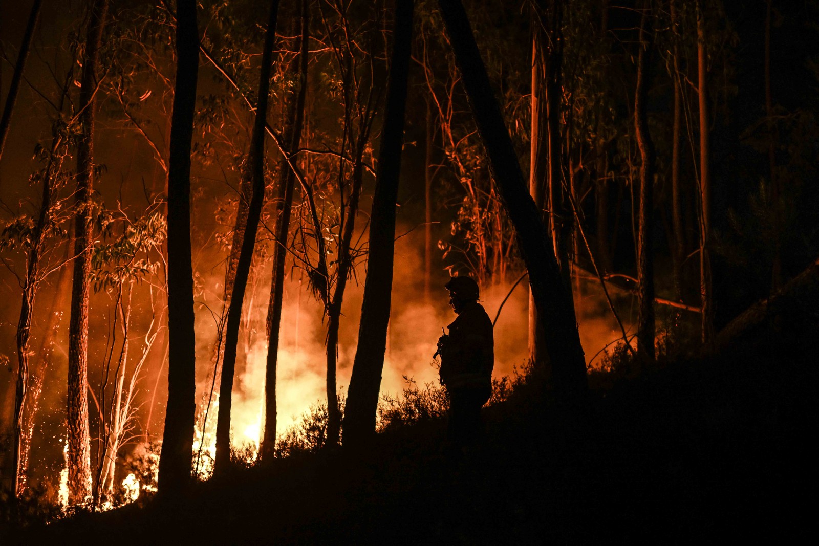 Cerca de 1.500 bombeiros foram mobilizados para apagar três incêndios florestais que duram mais de 48 horas no centro e norte de Portugal — Foto: PATRICIA DE MELO MOREIRA / AFP