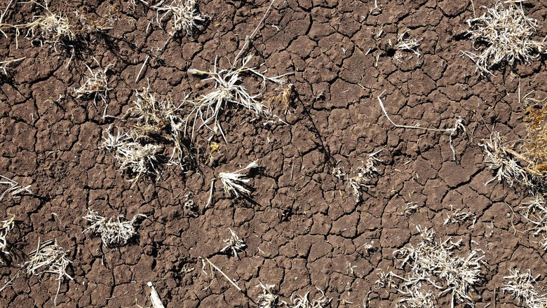 seca-solo-agricultura-mudança-climatica-aquecimento-global (Foto: CIAT/CCommons)