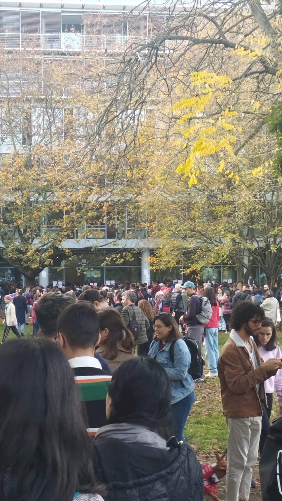 Filas para a votação em Berlim. — Foto: Reprodução/@tistocco