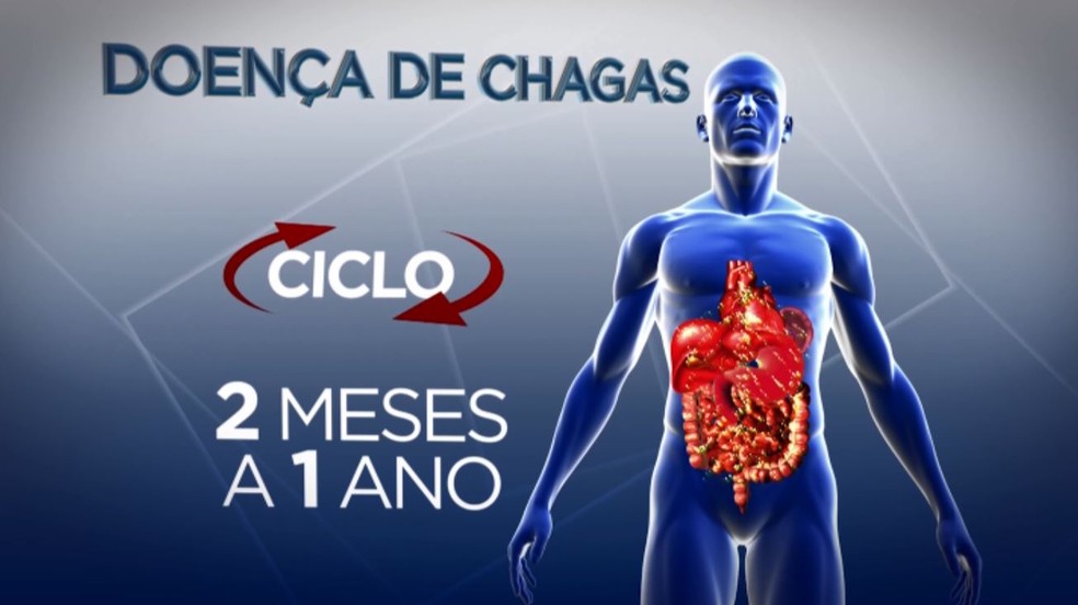 Doença de Chagas (Foto: Reprodução EPTV)