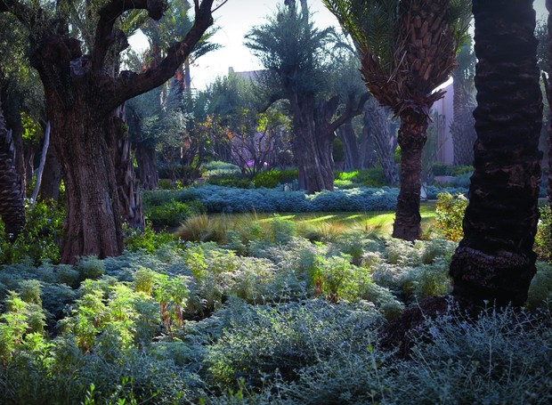 O estúdio Luis Vallejo Landscape criou um verdadeiro oásis de 6 hectares nos arredores do Royal Mansour (Foto: Divulgação)