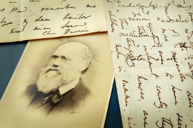 Charles Darwin: grande pensador e apreciador das sonecas pós-almoço (Foto: Getty Images)