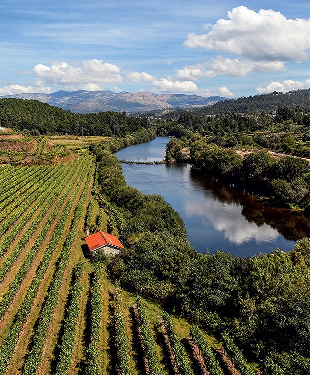 Vale do Rio Lima, próximo à vila de Ponte de Lima, ao norte de Portugal: a região produz vinhos verdes tintos, brancos, espumantes e monovarietais (Foto: Editora Globo)