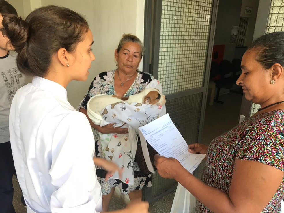 Donos são chamados para buscarem animais hospitalizados — Foto: Yago Oliveira/G1