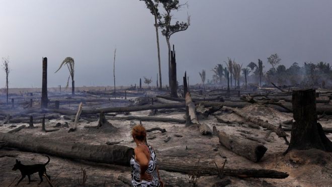 Congresso analisa medida provisória que pode aumentar o desmatamento na floresta amazônica (Foto: Reuters via BBC)