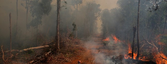 Fogo na floresta: 690 mil km²da área do bioma do Brasil se incendiou ao menos uma vez em 35 anosReuters