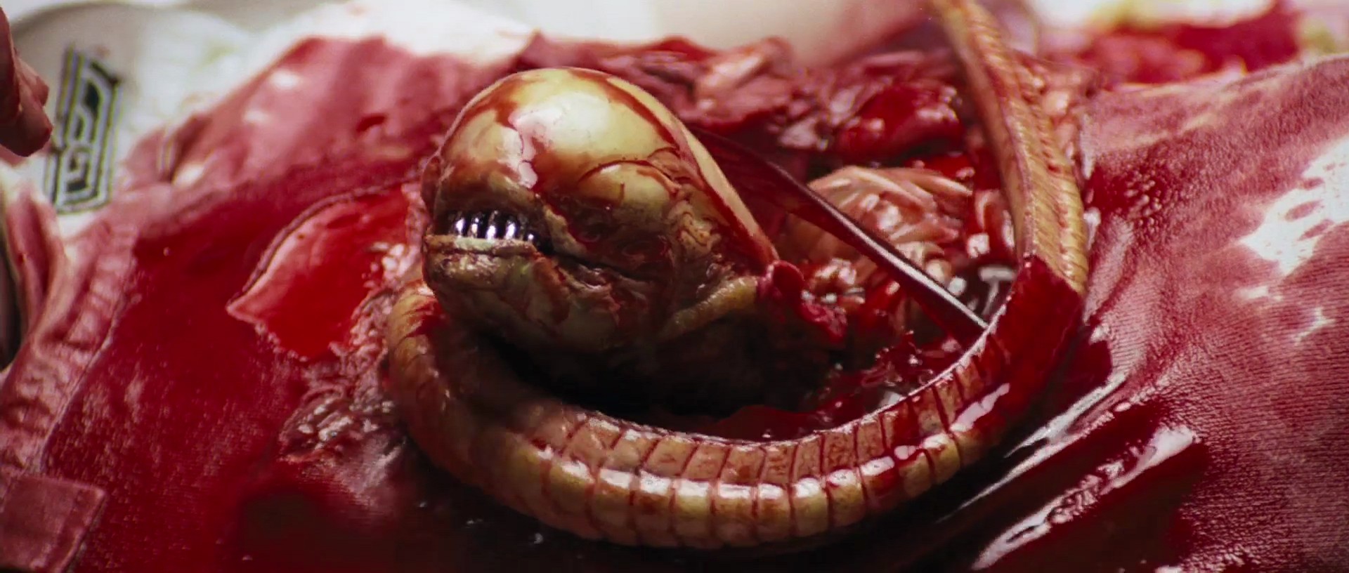 Criatura em cena do filme Alien, o Oitavo Passageiro (1979) (Foto: Divulgação)