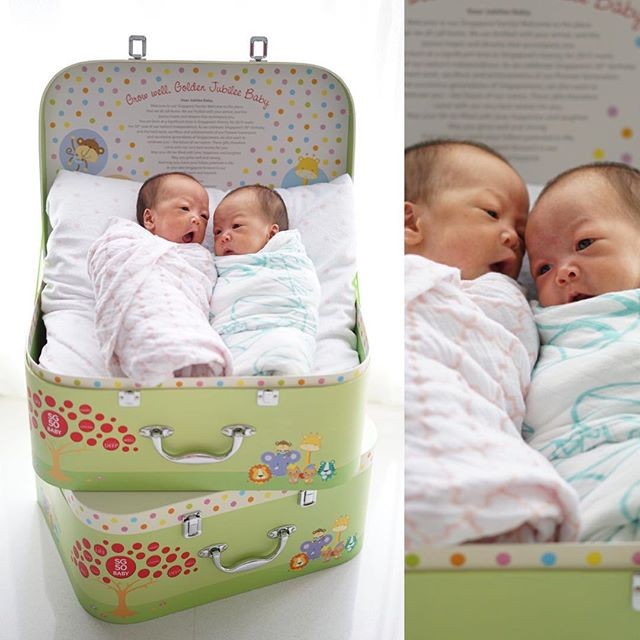 Momo Twins recém-nascidas (Foto: Reprodução)
