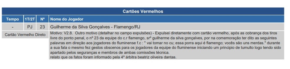 Súmula de Fluminense e Flamengo pelo Brasileirão Sub-20 — Foto: Reprodução