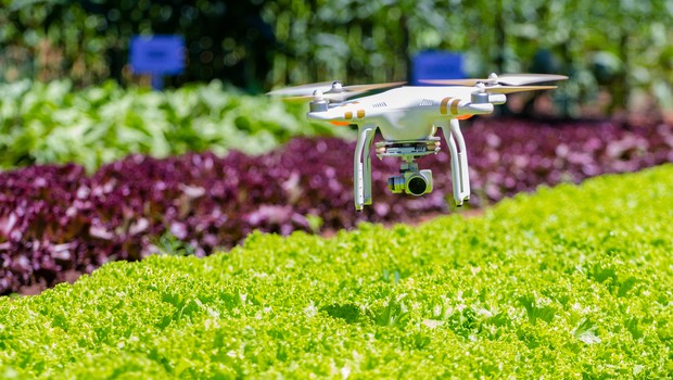 agricultura, tecnologia no campo, agtechs (Foto: Getty Images)