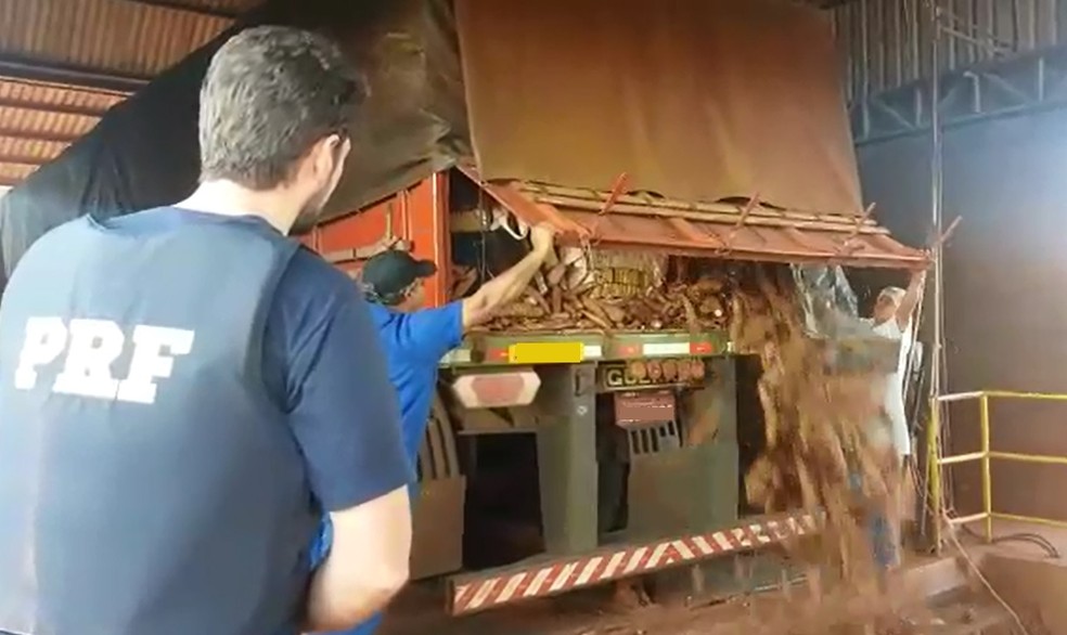 Maconha estava sob carga de 14,1 toneladas de mandioca (Foto: Divulgação/PRF)