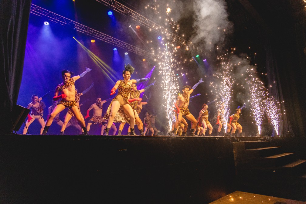 Gandhicats Project — Foto: André Castelo Branco