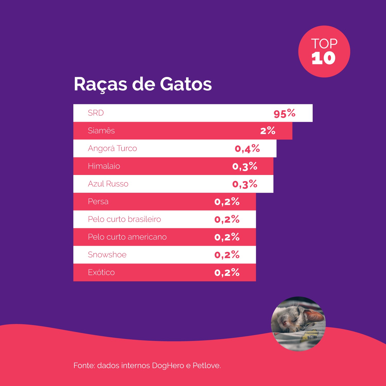 Categoria Gatos: TOP 10 Nacional Raças (Foto: Divulgação / DogHero / Petlove)