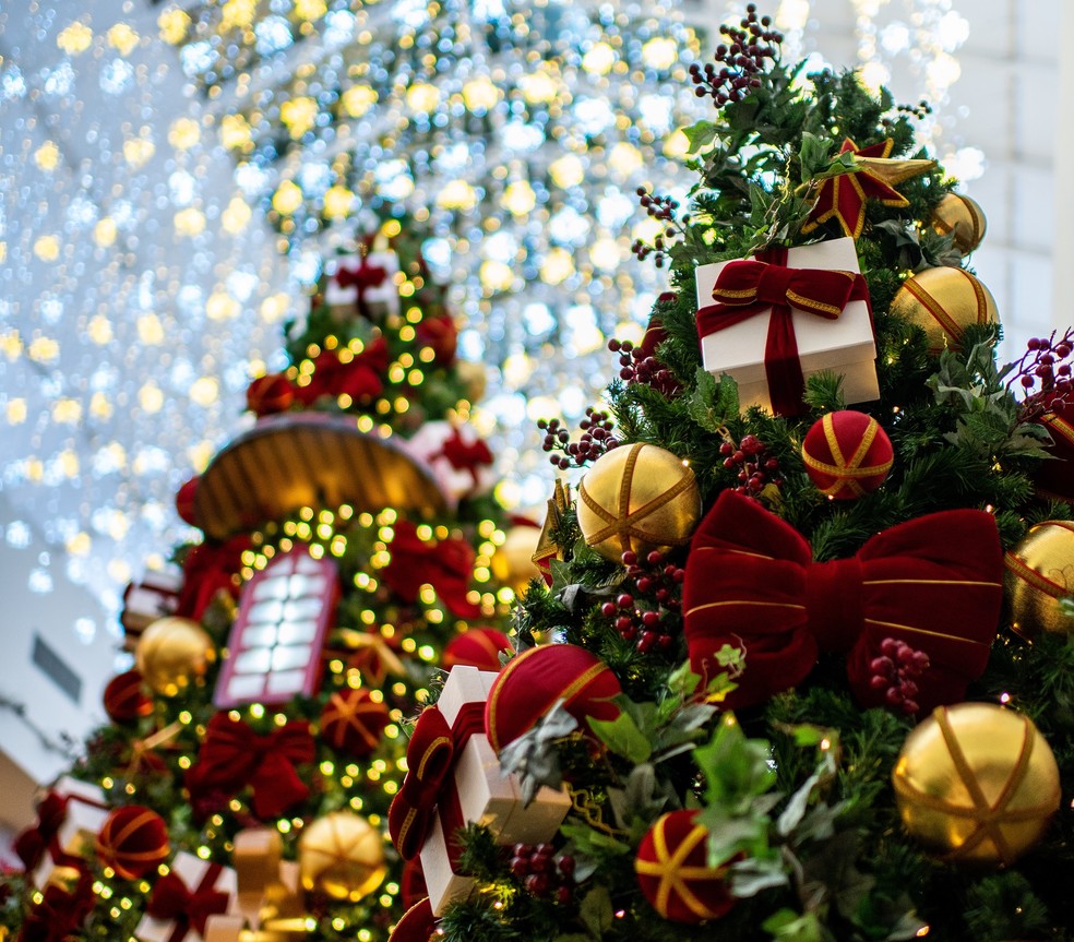 Shoppings oferecem programação de Natal com atrações culturais e  brincadeiras no Grande Recife | Pernambuco | G1