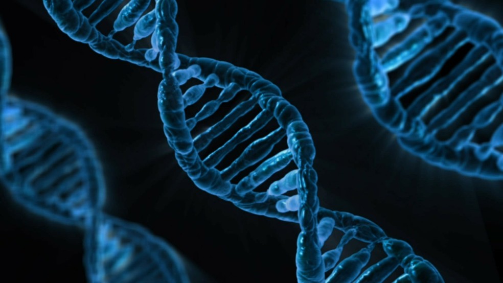 Os genes também influenciam no nosso peso — Foto: PublicDomainPictures/Pixabay