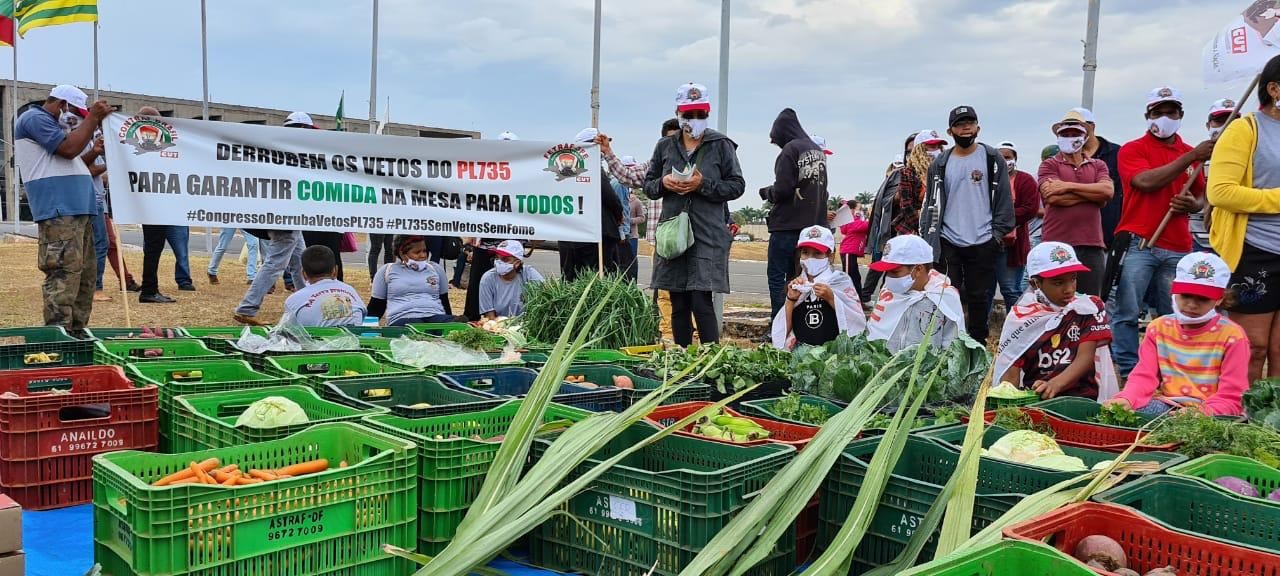 Protesto de agricultores familiares em Brasília (Foto: Contraf/Divulgação)